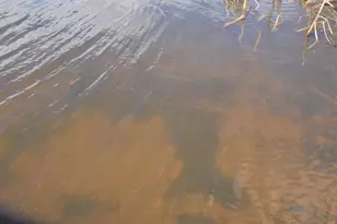 24199 Clam Lake Dr, Siren, WI 54872 - Photo 43