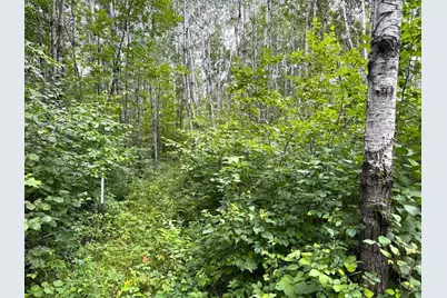 12755 57th Avenue SW, Motley, MN 56466 - Photo 33