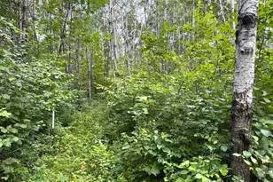 12755 57th Ave SW, Motley, MN 56466 - Photo 33