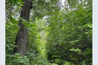 12755 57th Avenue SW, Motley, MN 56466 - Photo 27