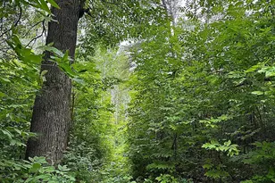 12755 57th Ave SW, Motley, MN 56466 - Photo 27