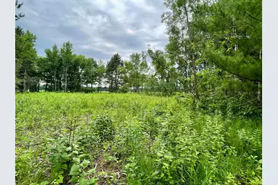 Tbd Pacer Drive, Browerville, MN 56438 - Photo 3