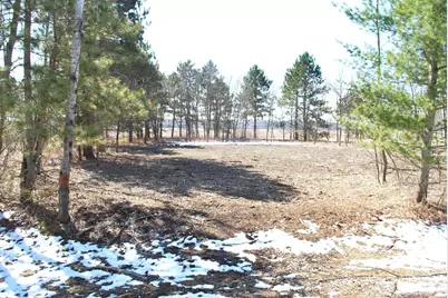 Tbd Pacer Drive, Browerville, MN 56438 - Photo 1