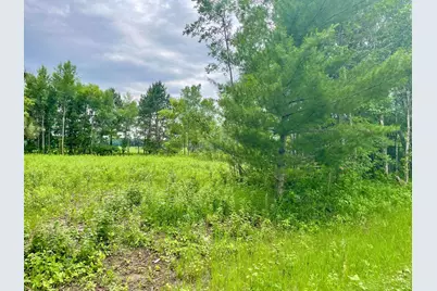 Tbd Pacer Drive, Browerville, MN 56438 - Photo 7