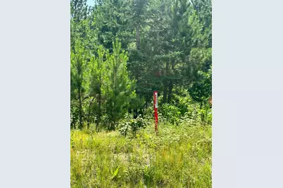 Tbd4 Destination Drive, Nevis, MN 56467 - Photo 7