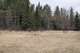 8832 River Rd, Angora, MN 55703 - Photo 39