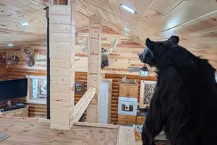 8832 River Rd, Angora, MN 55703 - Photo 19