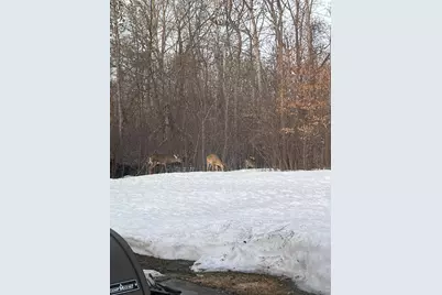 1618 Huron Drive, Detroit Lakes, MN 56501 - Photo 25