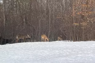 1618 Huron Dr, Detroit Lakes, MN 56501 - Photo 25