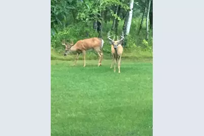 1618 Huron Drive, Detroit Lakes, MN 56501 - Photo 23