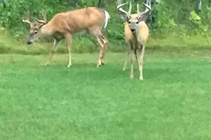 1618 Huron Dr, Detroit Lakes, MN 56501 - Photo 23