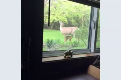 26184 615th Street, Mantorville, MN 55955 - Photo 15