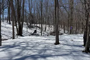 32755 Little Owl Rd, Vergas, MN 56587 - Photo 39