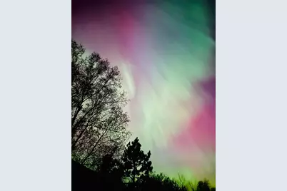 5834 County 4 NE, Remer, MN 56672 - Photo 17