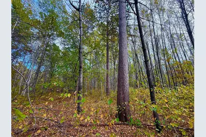 Tbd Sunset Valley Road, Nisswa, MN 56468 - Photo 15
