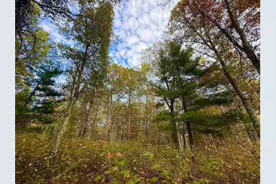 Tbd Sunset Valley Road, Nisswa, MN 56468 - Photo 5