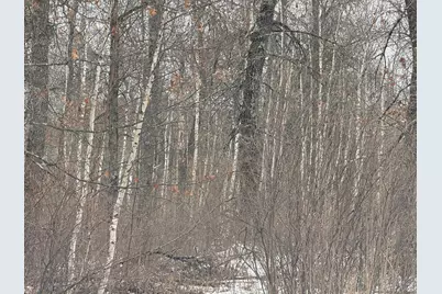 Tbd Sunset Valley Road, Nisswa, MN 56468 - Photo 25