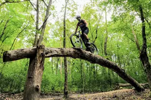 10930 37th St N, Lake Elmo, MN 55042 - Photo 49