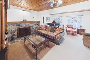 30007 County 2, Grey Eagle, MN 56336 - Photo 19