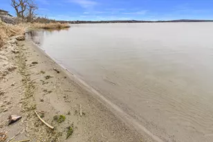 30007 County 2, Grey Eagle, MN 56336 - Photo 7