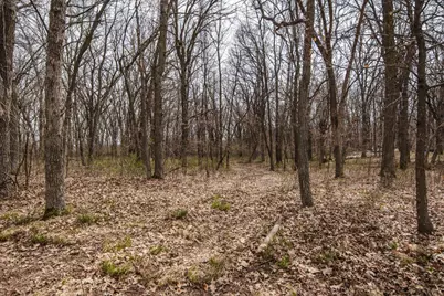40142 244th Street, Battle Lake, MN 56515 - Photo 39