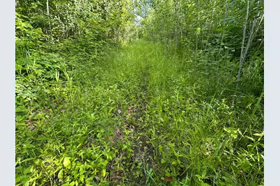 Tbd County Highway 26, Rochert, MN 56578 - Photo 23