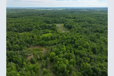 Tbd County Highway 26, Rochert, MN 56578 - Photo 11