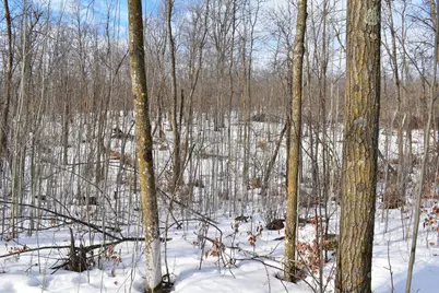 Tbd County Highway 26, Rochert, MN 56578 - Photo 11