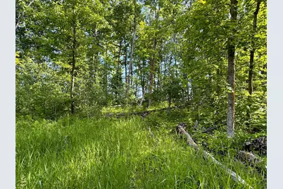Tbd County Highway 26, Rochert, MN 56578 - Photo 19