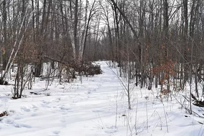 Tbd County Highway 26, Rochert, MN 56578 - Photo 7