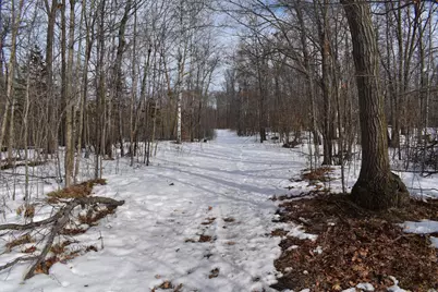 Tbd County Highway 26, Rochert, MN 56578 - Photo 5