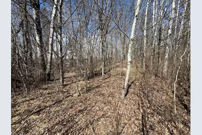 Tbd County Hwy 32, Detroit Lakes, MN 56501 - Photo 3