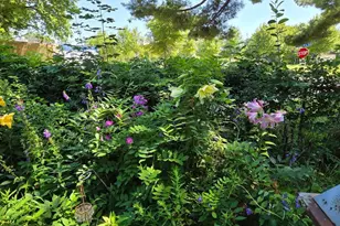 3207 Bryant Ave N, Minneapolis, MN 55412 - Photo 25