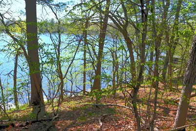 40039 County Rd 17, Browerville, MN 56438 - Photo 7