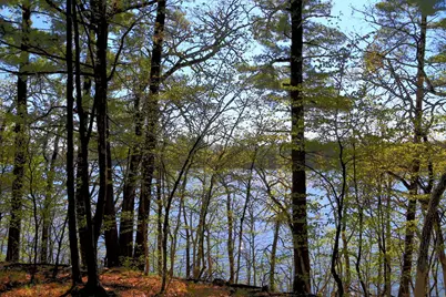 40039 County Rd 17, Browerville, MN 56438 - Photo 3