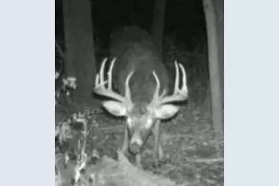 Tbd Liesgraf, Stockholm, WI 54769 - Photo 11