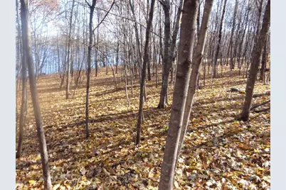 Xxx7 Serenity Lane SW, Alexandria, MN 56308 - Photo 9