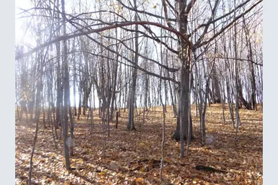 Xxx7 Serenity Lane SW, Alexandria, MN 56308 - Photo 15