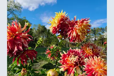 251X 183rd Ave NE, Wyoming, MN 55092 - Photo 5