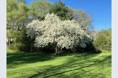 24963 Fallbrook Avenue, Forest Lake, MN 55025 - Photo 37