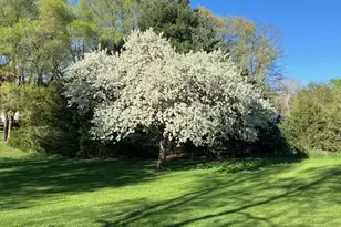 24963 Fallbrook Ave, Forest Lake, MN 55025 - Photo 37