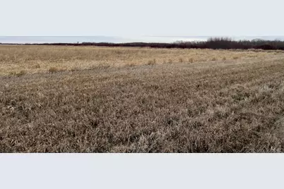 Tbd 170th Street NW, Thief River Falls, MN 56701 - Photo 13