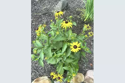 9243 Queens Gardens N, Brooklyn Park, MN 55443 - Photo 15