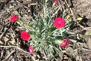 9243 Queens Gardens N, Brooklyn Park, MN 55443 - Photo 17