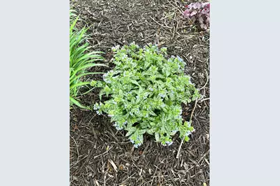 9243 Queens Gardens N, Brooklyn Park, MN 55443 - Photo 19