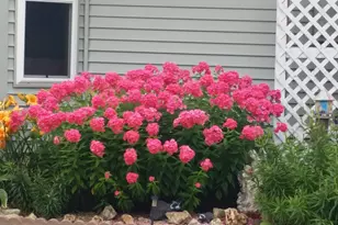 E3490 County Road P, Menomonie, WI 54751 - Photo 5