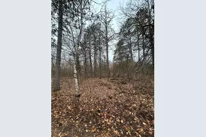Tbd Island Michelle Lee Trail, Park Rapids, MN 56470 - Photo 3