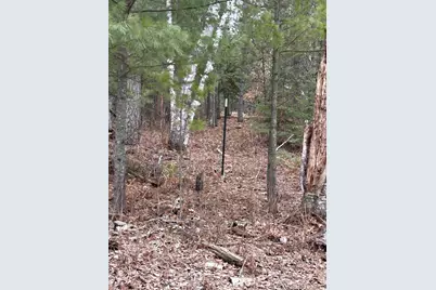 Tbd Island Michelle Lee Trail, Park Rapids, MN 56470 - Photo 9