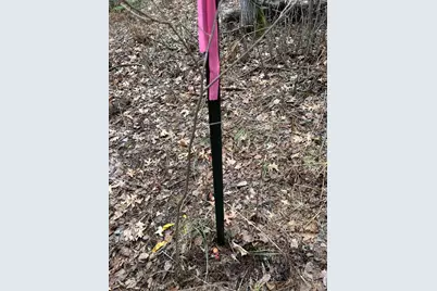 Tbd Island Michelle Lee Trail, Park Rapids, MN 56470 - Photo 15