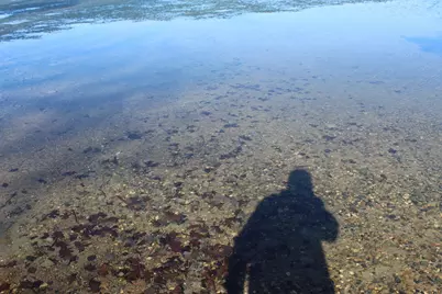 24188 Vacation Lane, Rochert, MN 56578 - Photo 47